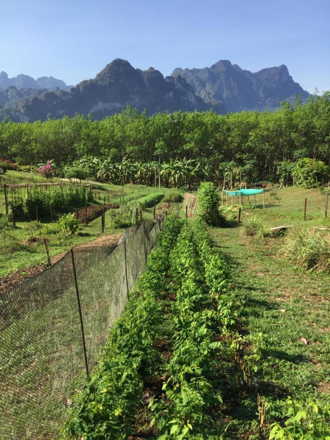 Billion Views Khaosok Homestay Khao Sok National Park Exterior foto