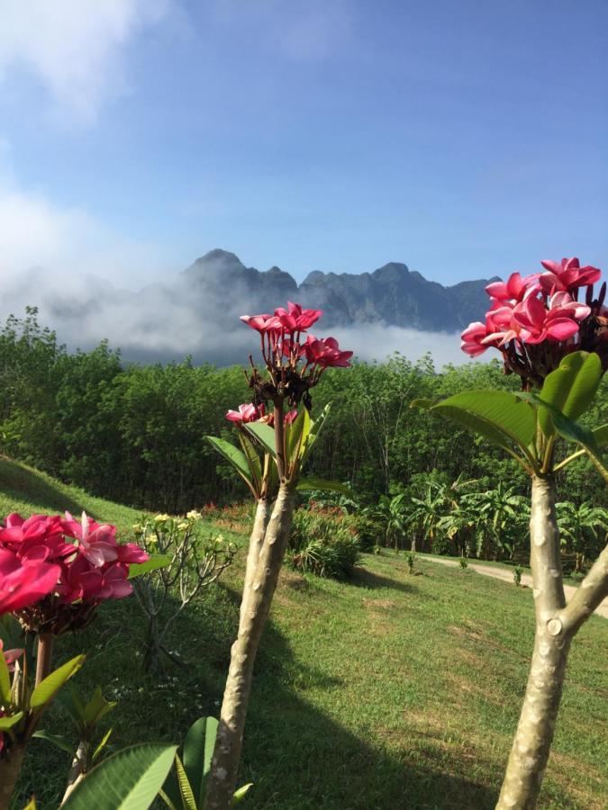 Billion Views Khaosok Homestay Khao Sok National Park Exterior foto